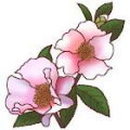 平田地区敬老会 様